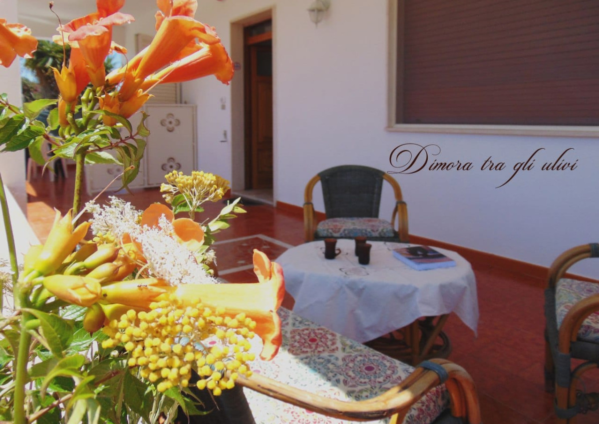 La Dimora tra gli ulivi 01