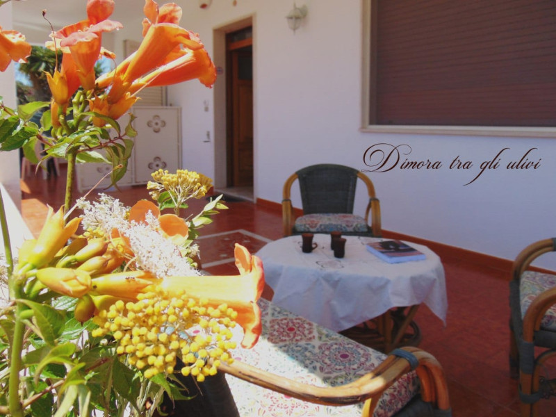 La Dimora tra gli ulivi 01