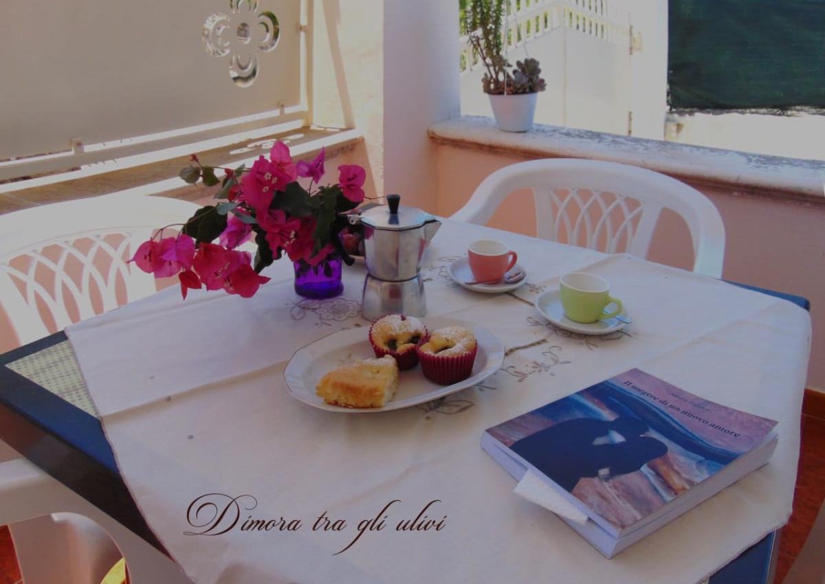 La Dimora tra gli ulivi 02